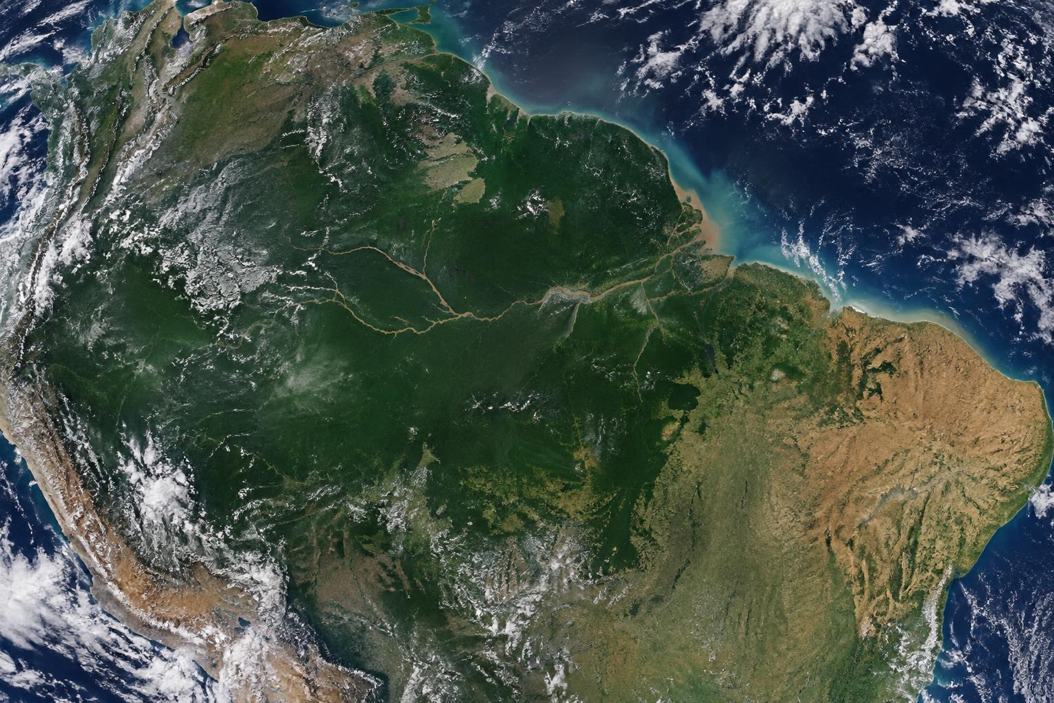 BRASIL na viagem até a Saladex